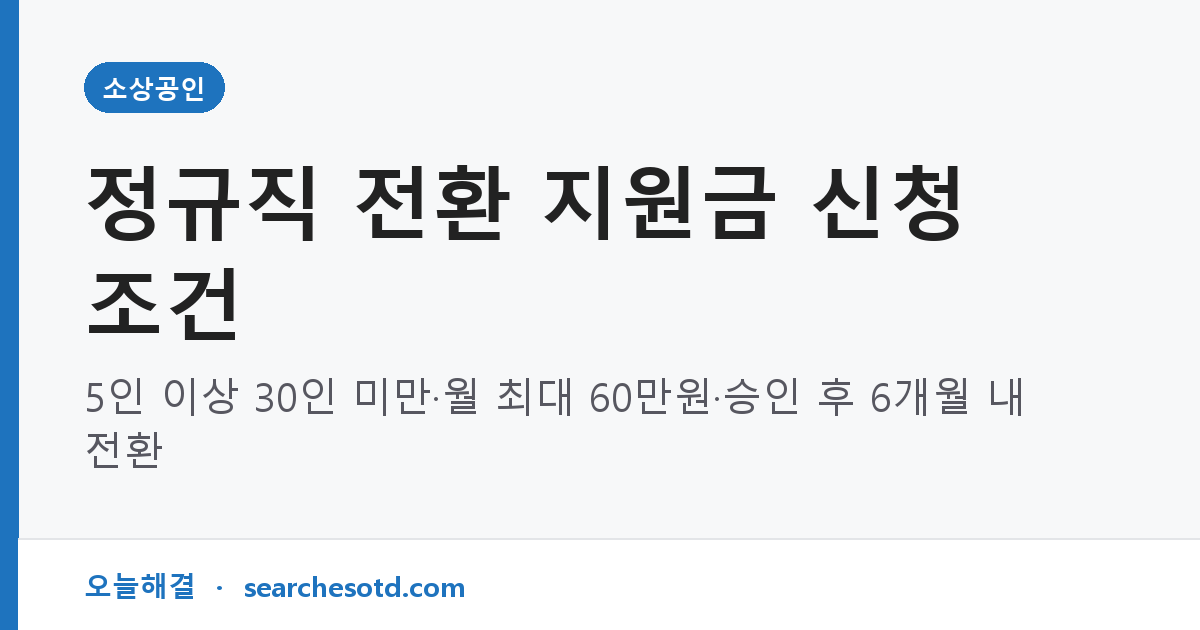 정규직 전환 지원금 신청 조건｜5인 이상 30인 미만·월 최대 60만원·승인 후 6개월 내 전환